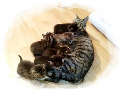 Bild zu Darf ich Euch auch mal fragen?? - Baby Forum - Allgemeine Themen