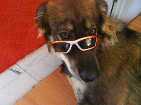 Bild zu