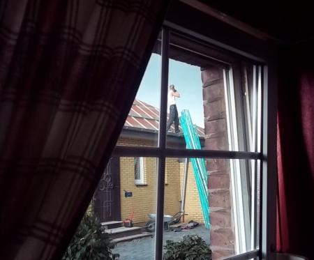 Bild zu 