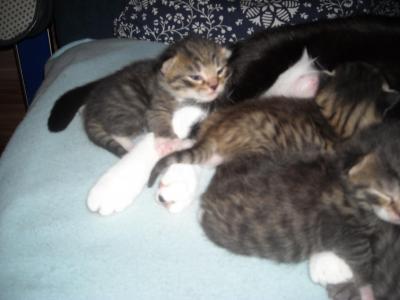 Bild zu guckt doch mal.... - Baby Forum - Allgemeine Themen