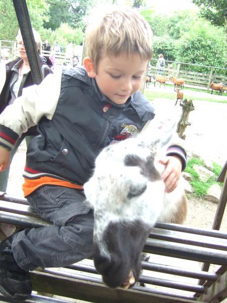 Bild zu 