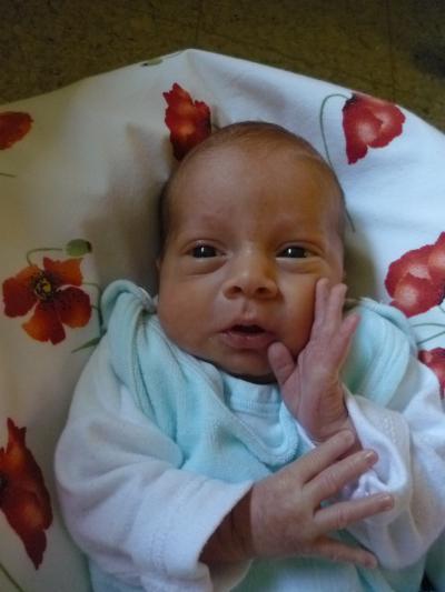 Bild zu Juhu mein kleiner Mann darf bald nach Hause - Baby Forum - Allgemeine Themen