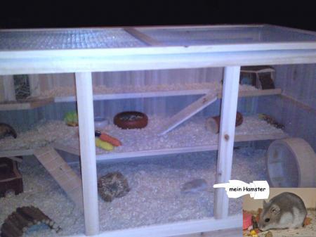 Bild zu