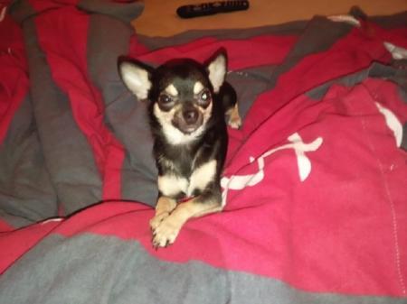 Bild zu
