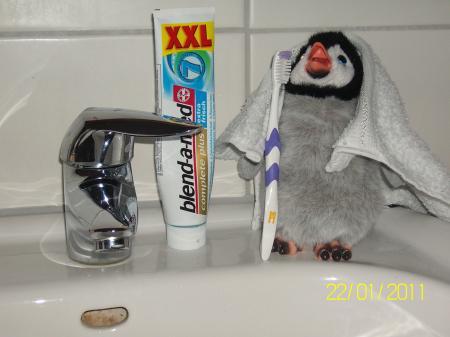 Bild zu 