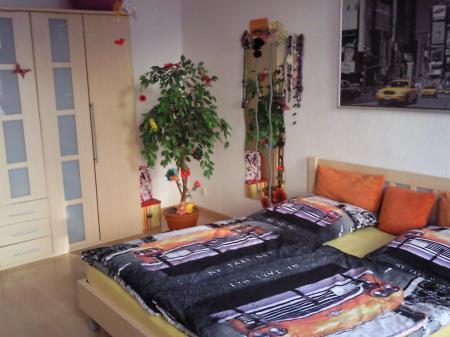 Bild zu 