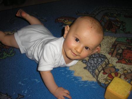 Bild zu 