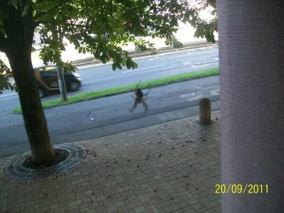Bild zu Bei mir hängt ne Spinne im Fenster... - Baby Forum - Allgemeine Themen