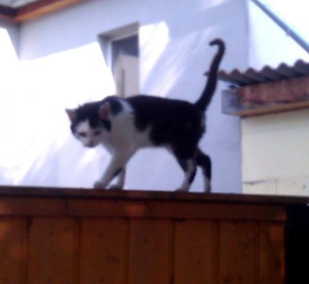 Bild zu 