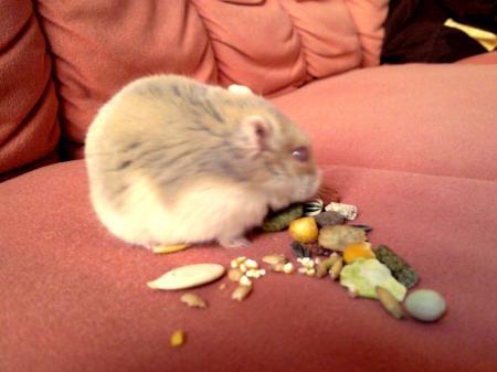 Bild zu 