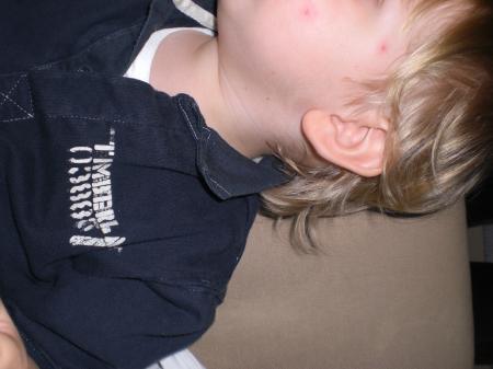 Bild zu