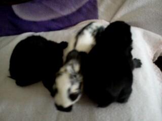 Bild zu 