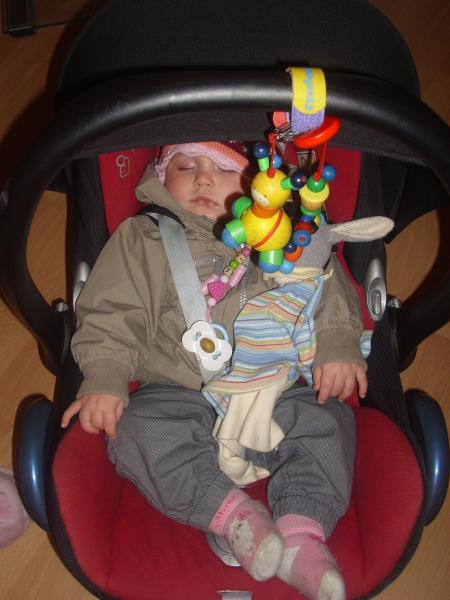 Bild zu 
