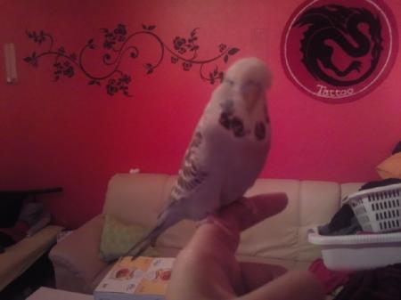 Bild zu 