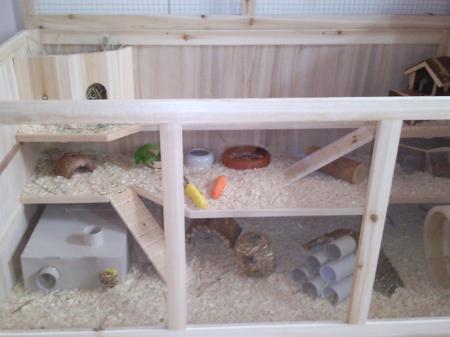 Bild zu 