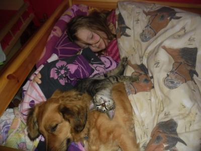 Bild zu gestern abend, bevor ich ins bett wollte... - Baby Forum - Allgemeine Themen