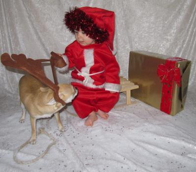 Bild zu Bald ist weihnachten *freu* - Baby Forum - Allgemeine Themen