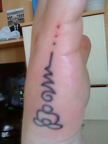 Bild zu 