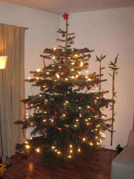 Bild zu 