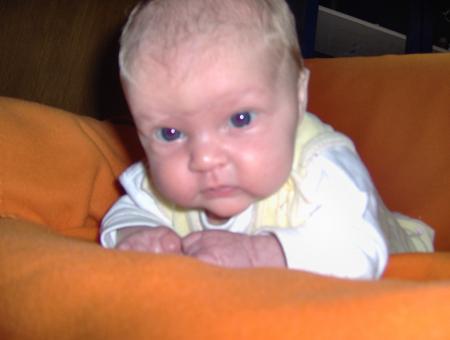 Bild zu 