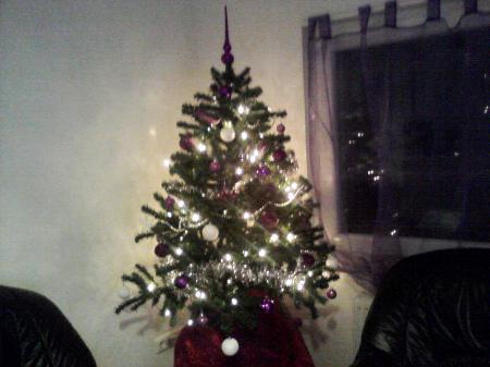 Bild zu 