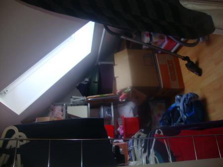 Bild zu 