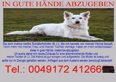 Bild zu ;-) - Baby Forum - Allgemeine Themen