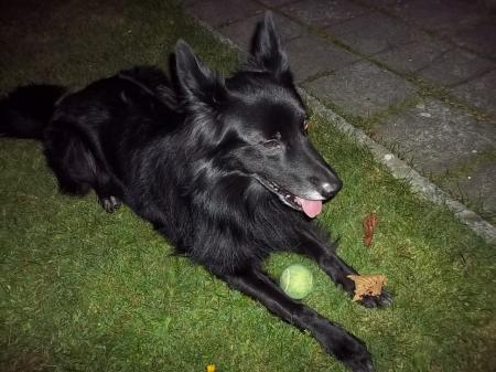 Bild zu 