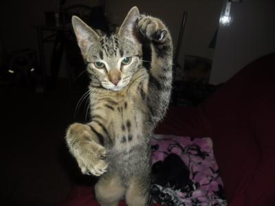 Bild zu hihihi... guckt mal - Baby Forum - Allgemeine Themen