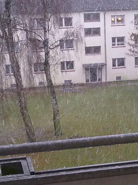 Bild zu 