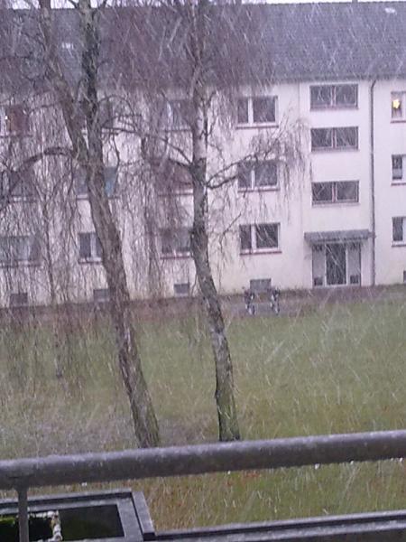 Bild zu 