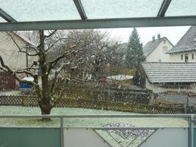 Bild zu Schnee - Foto - Baby Forum - Allgemeine Themen