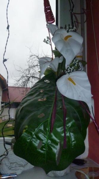 Bild zu 