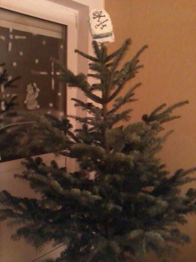 Bild zu mein tannenbaum 1 - Baby Forum - Allgemeine Themen
