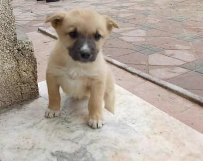 Bild zu Ich bin verliebt :-) - Baby Forum - Allgemeine Themen