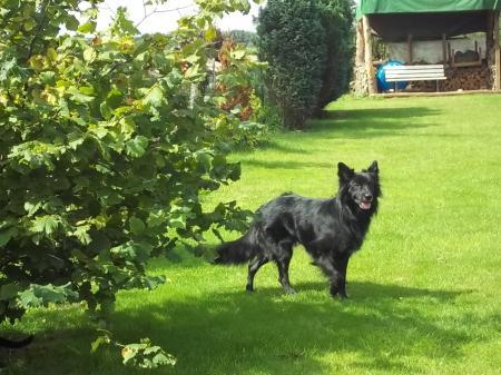 Bild zu 