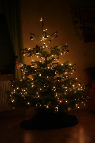 Bild zu fertig:) Christbaum steht... - Baby Forum - Allgemeine Themen