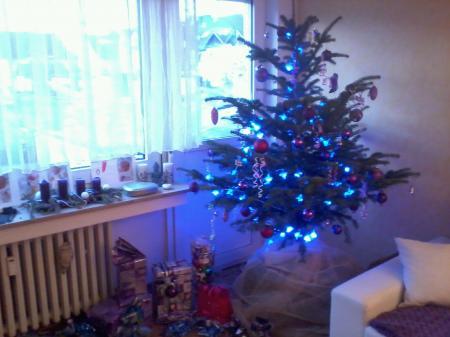 Bild zu 