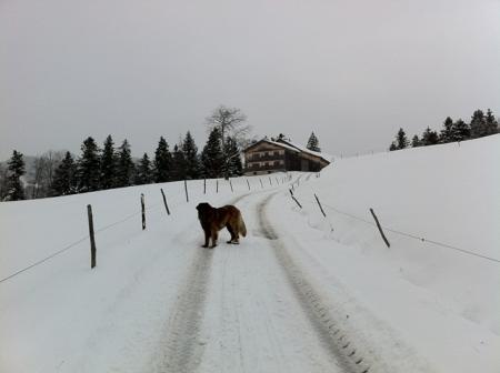 Bild zu 