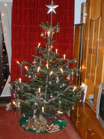 Bild zu tatatatataaaaaaaaaa: der baum 2011 - Baby Forum - Allgemeine Themen