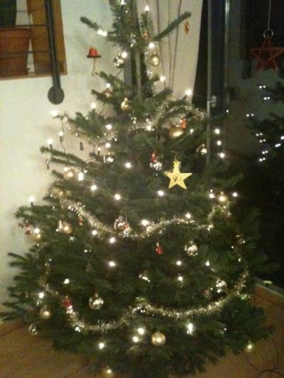 Bild zu So, unser Baum steht jetzt auch..... - Baby Forum - Allgemeine Themen