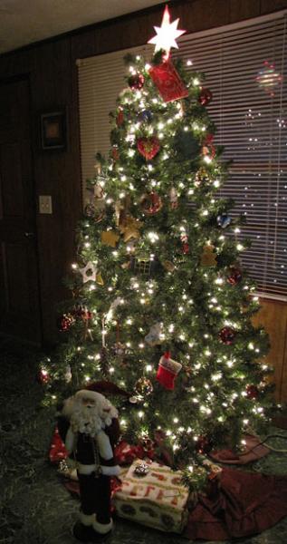Bild zu Das ist unser Christbaum - Baby Forum - Allgemeine Themen