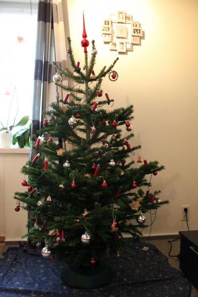 Bild zu Hier ist mal unser Baum. - Baby Forum - Allgemeine Themen