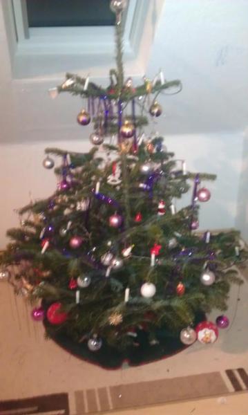 Bild zu 