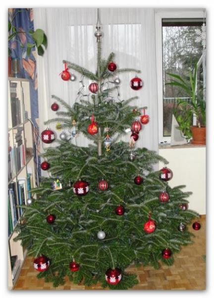 Bild zu 