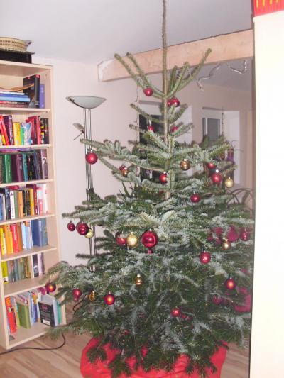 Bild zu Unser Baum - Baby Forum - Allgemeine Themen