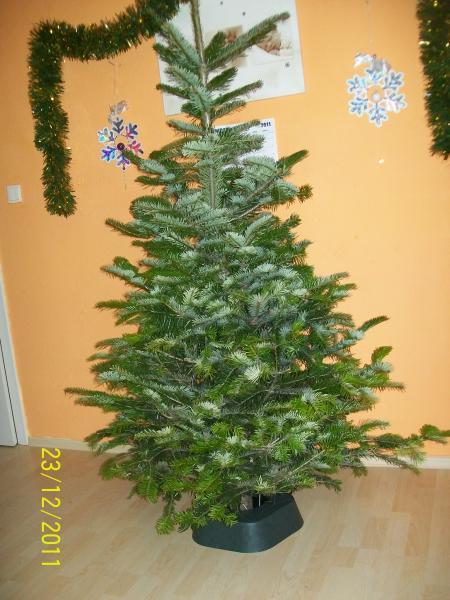 Bild zu 
