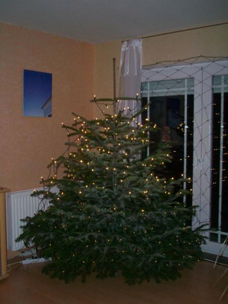 Bild zu 