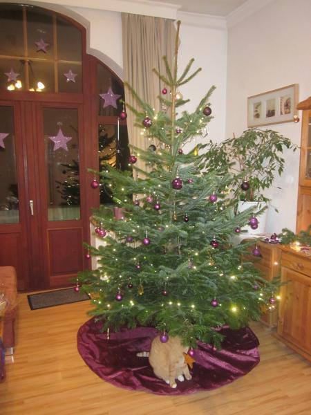 Bild zu 