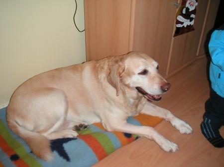 Bild zu 